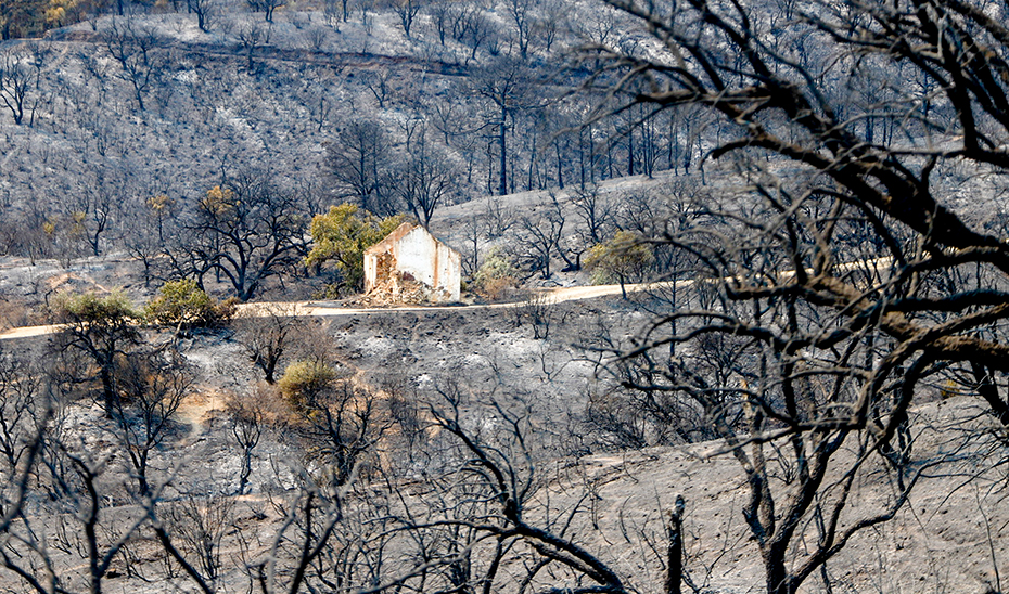 Paraje calcinado por el incendio forestal en Sierra Bermeja (Álex Zea / Europa Press).